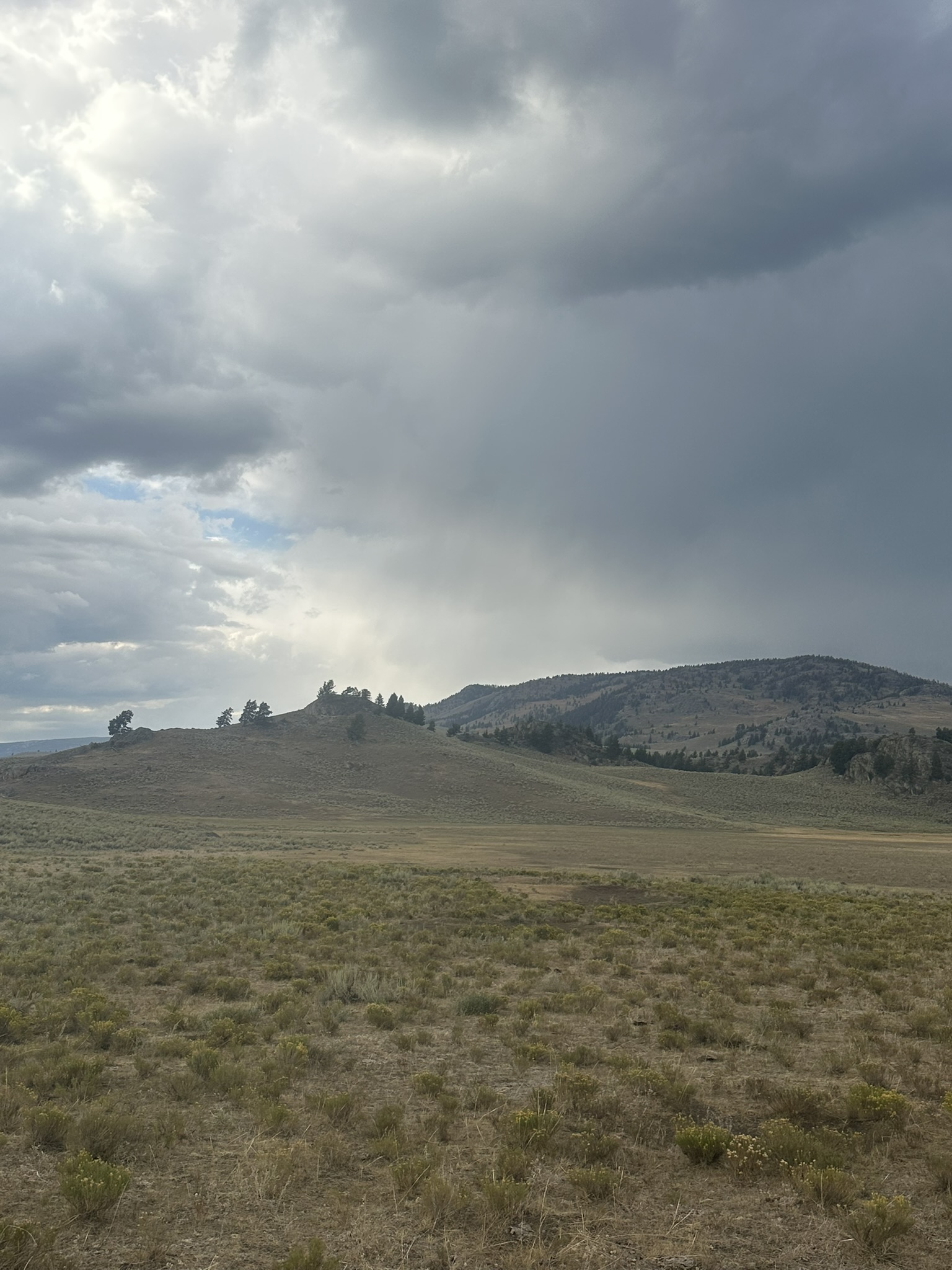 Yellowstone And Grand Teton National Parks - Image 1101